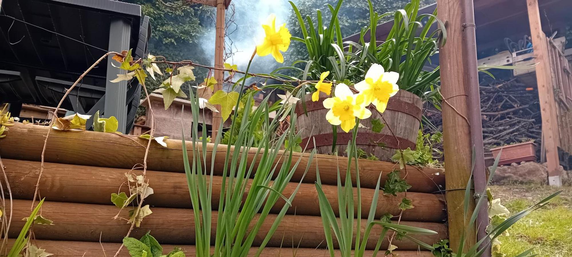 Campiglia dʼOrcia Nicolas House מראה חיצוני תמונה